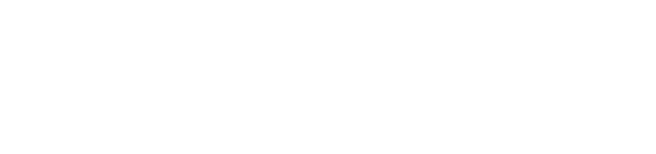 NAPA Auto Parts logo