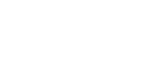 True Value Hardware Stores logo
