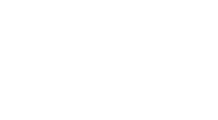Salse Chiropractic logo